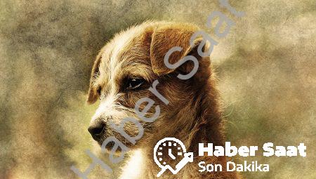 Sanatın Geleceği: Dijital Dönüşüme Ayak Uyduran Sanatçıların Başarı Hikayeleri