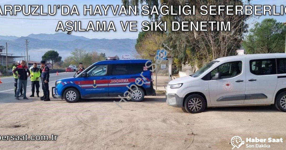 "Karpuzlu’da Hayvan Sağlığı Seferberliği: Aşılama ve Sıkı Denetim" başlıklı haber için fotorealistik