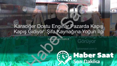 Karaciğer Dostu Enginar Pazarda Göz Kamaştırıyor: Şifa Kaynağı Olarak Yoğun İlgi Görüyor