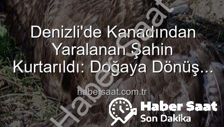 Denizli’de Kanadından Yaralanan Şahin Kurtarıldı: Doğaya Dönüş Yolculuğu Başladı