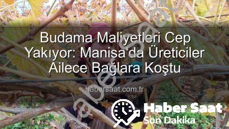Budama Maliyetleri Cep Yakıyor: Manisa’da Üreticiler Ailece Bağlara Koştu