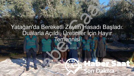 Yatağan’da Bereketli Zeytin Hasadı Başladı: Dualarla Açıldı, Üreticiler İçin Hayır Temennisi