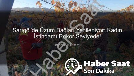 Sarıgöl’de Üzüm Bağları Yenileniyor: Kadın İstihdamı Rekor Seviyede!