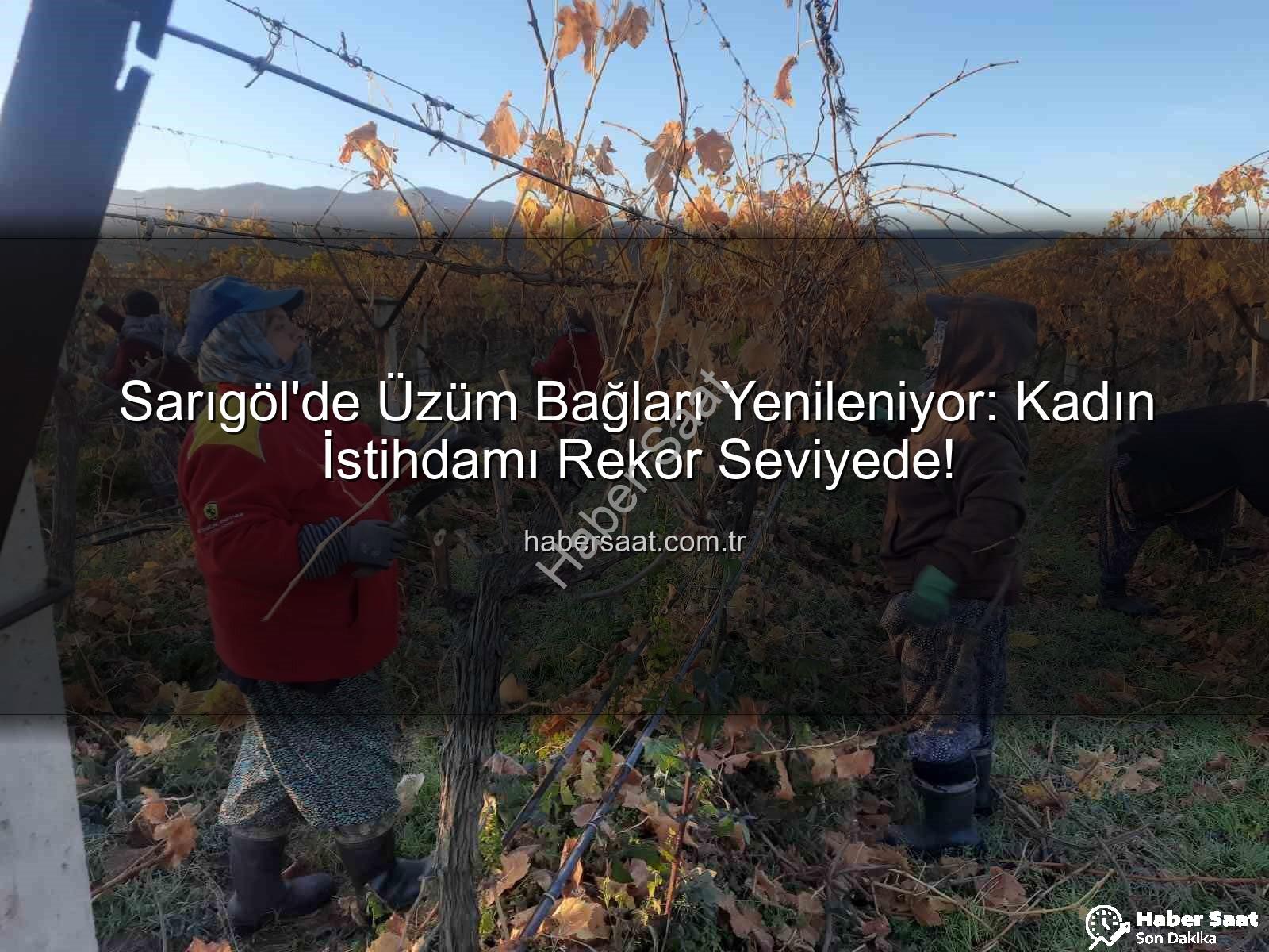 kadın istihdamı - Sarıgöl'de Üzüm Bağları Yenileniyor: Kadın İstihdamı Rekor Seviyede!