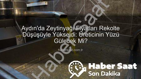 Aydın’da Zeytinyağı Fiyatları Rekolte Düşüşüyle Yükseldi: Üreticinin Yüzü Gülecek Mi?