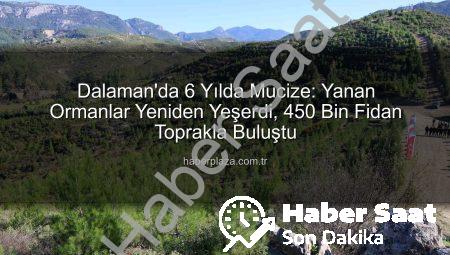 Muğla’da Mucize: 6 Yıl Önce Yanan Alanlar Yeniden Yeşerdi, 450 Bin Fidan Toprakla Buluştu