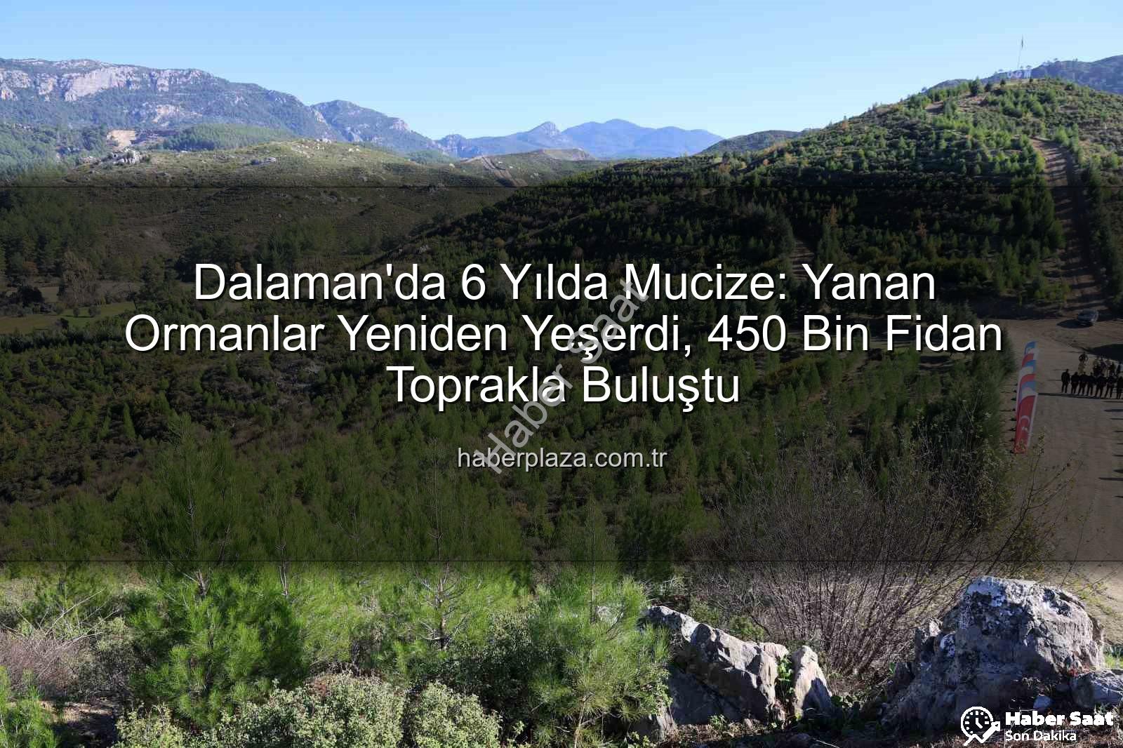 Ağaçlandırma çalışmaları - Muğla'da Mucize: 6 Yıl Önce Yanan Alanlar Yeniden Yeşerdi, 450 Bin Fidan Toprakla Buluştu